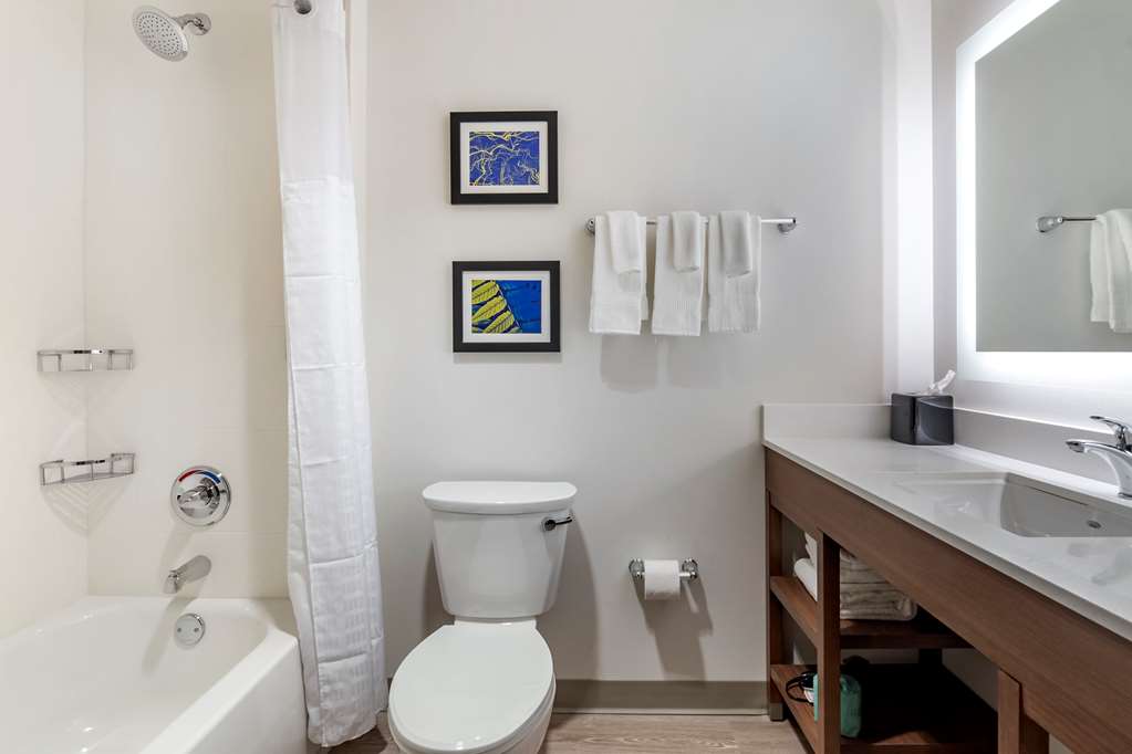 Comfort Suites Grandview Kansas City - photo 24