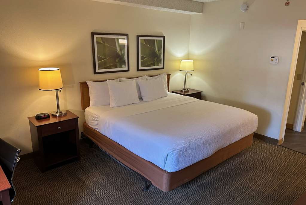 Baymont by Wyndham Orlando South - photo 23
