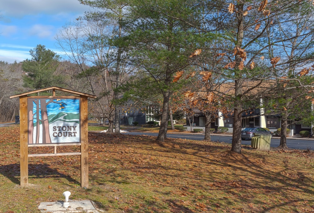 Stony Court at Bryce Mountain - photo 25
