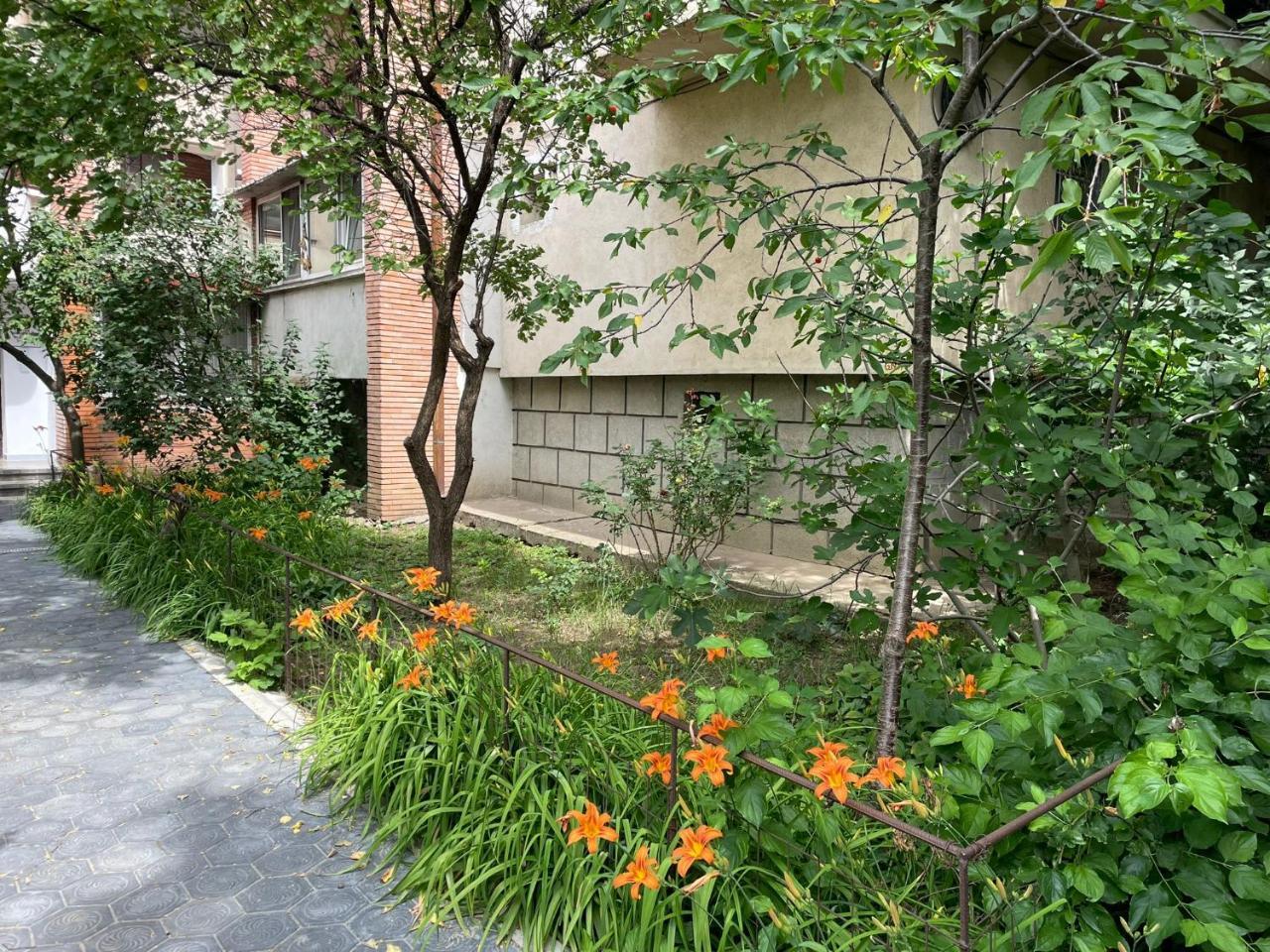 Propriete No8 Relax Close To Train Station & University in Iasi, Romania