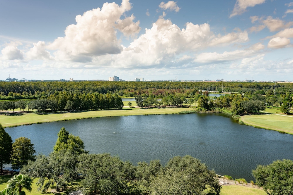 The Ritz Carlton Orlando Grande Lakes - photo 217
