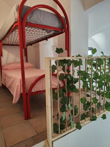 La Locanda — Nociglia — photo 3
