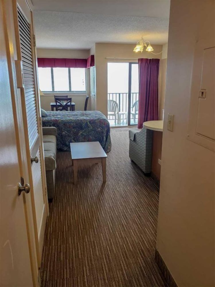The Palace 401 - photo 3