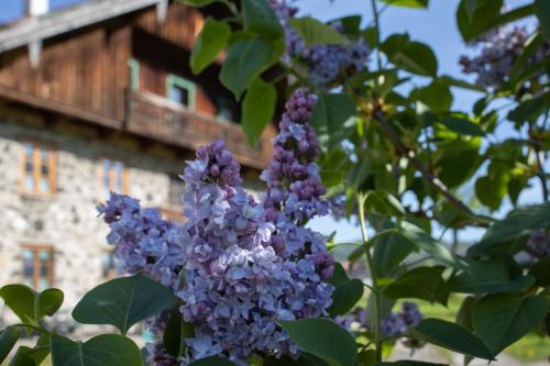Ferienwohnung Nagerlhof — Piding — photo 4