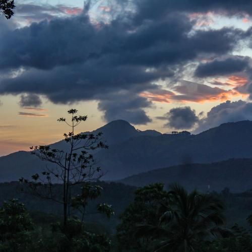 Paradise Forest Garden in Matale, Sri Lanka