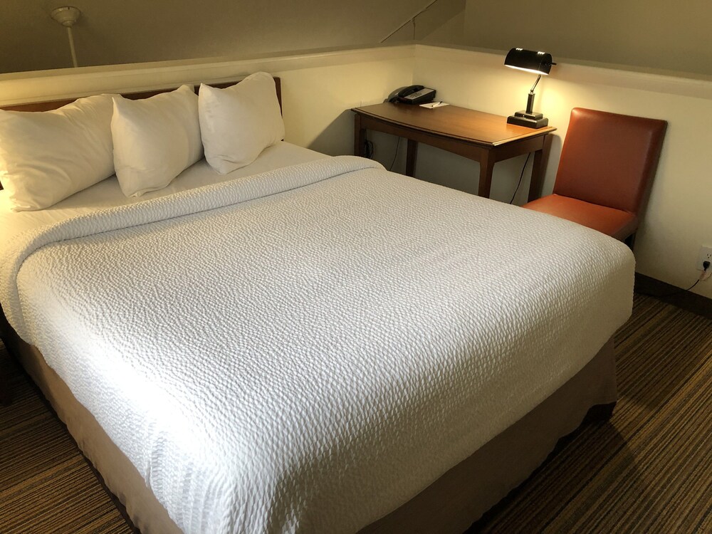 Albany Airport Inn and Suites - photo 20