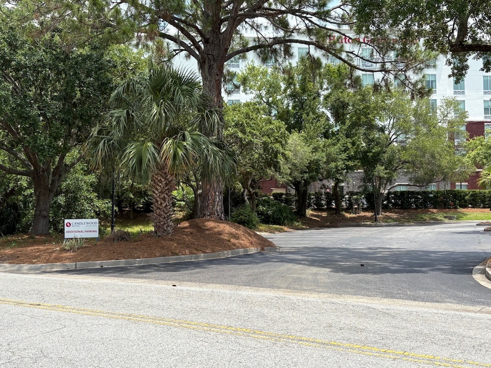 Candlewood Suites Charleston Mt Pleasant by IHG - photo 34