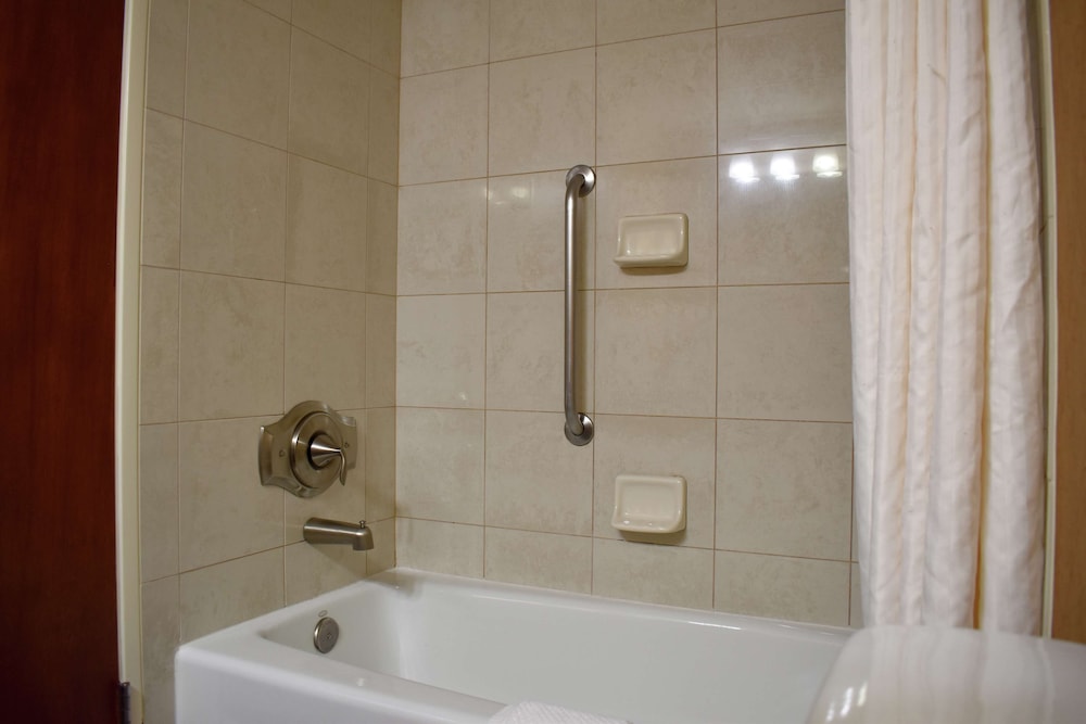 DoubleTree by Hilton Asheville Biltmore - photo 57