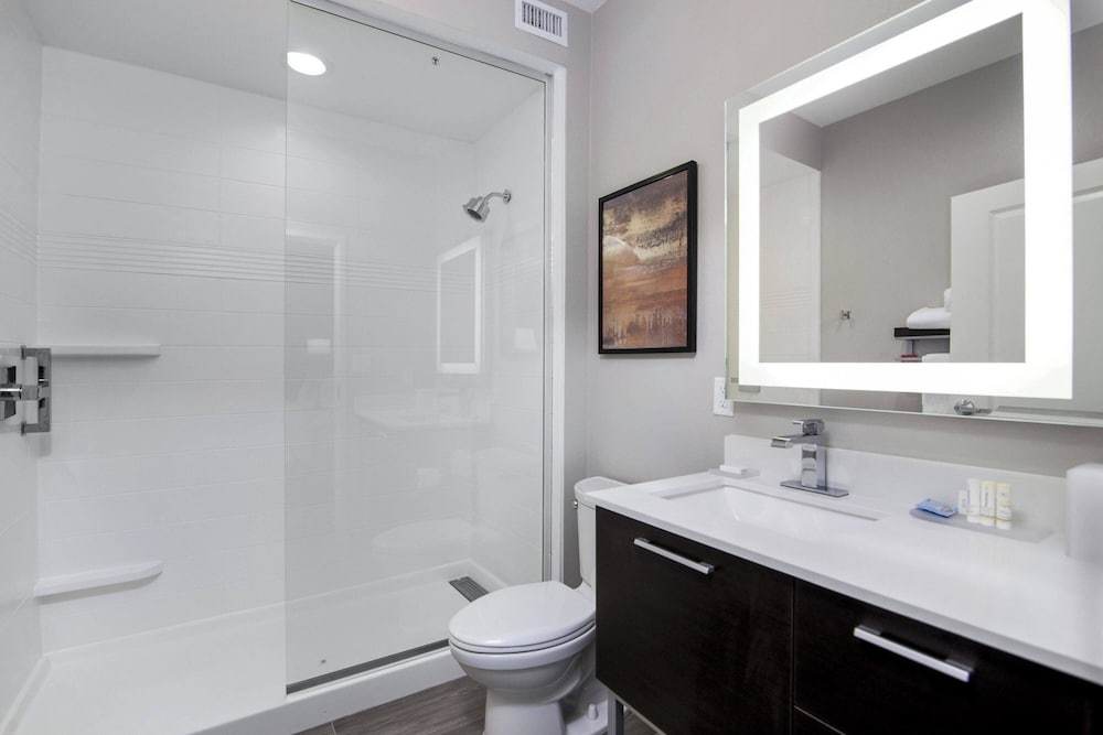 TownePlace Suites by Marriott Houston Hobby Airport - photo 27