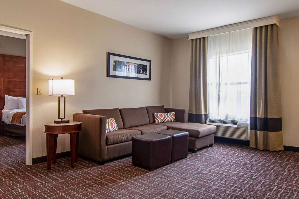 Comfort Suites NW Dallas Near Love Field - photo 23