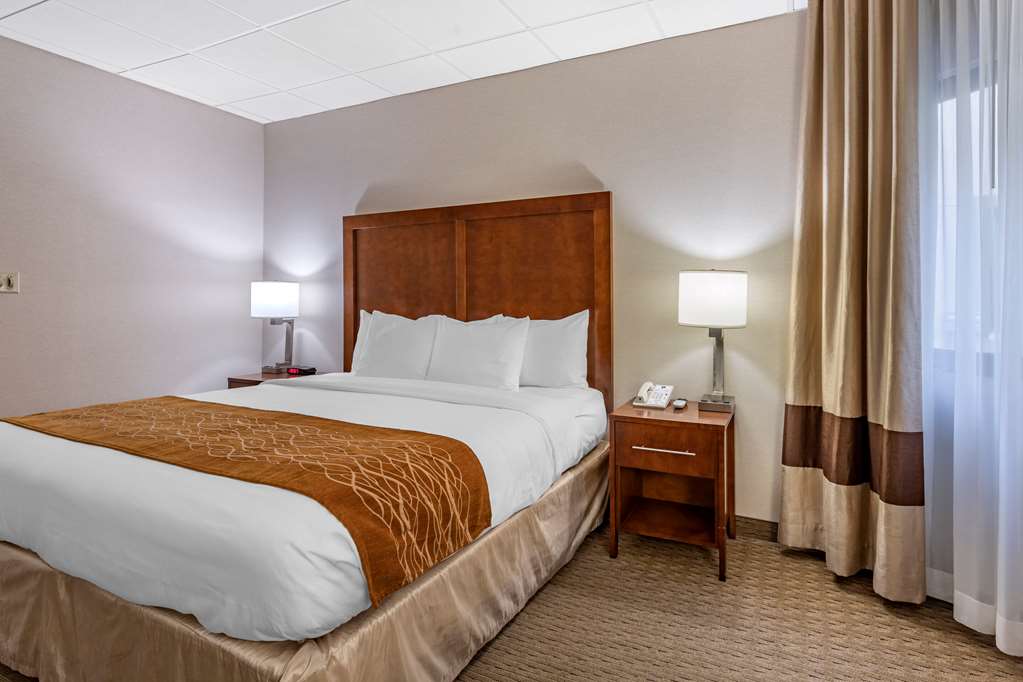 Comfort Inn Syosset Long Island - photo 15
