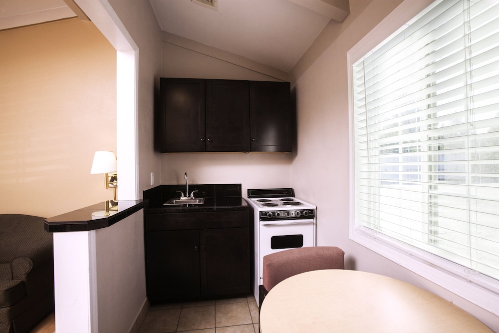 Tri Valley Inn and Suites Pleasanton - photo 37
