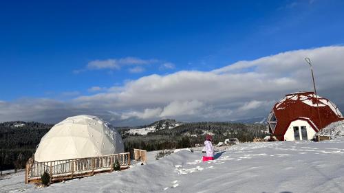 Dorna Iglu Luxury Glamping Resort — 4-Star Luxury Hotel in Dorna Candrenilor, Romania