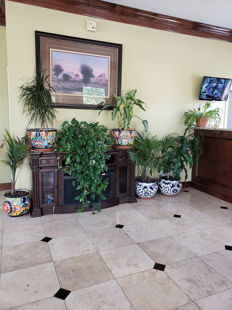 Taylor village inn and suites - photo 4