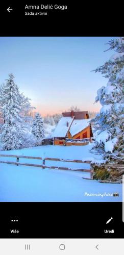 Ponijeri in Kakanj, Bosnia and Herzegovina