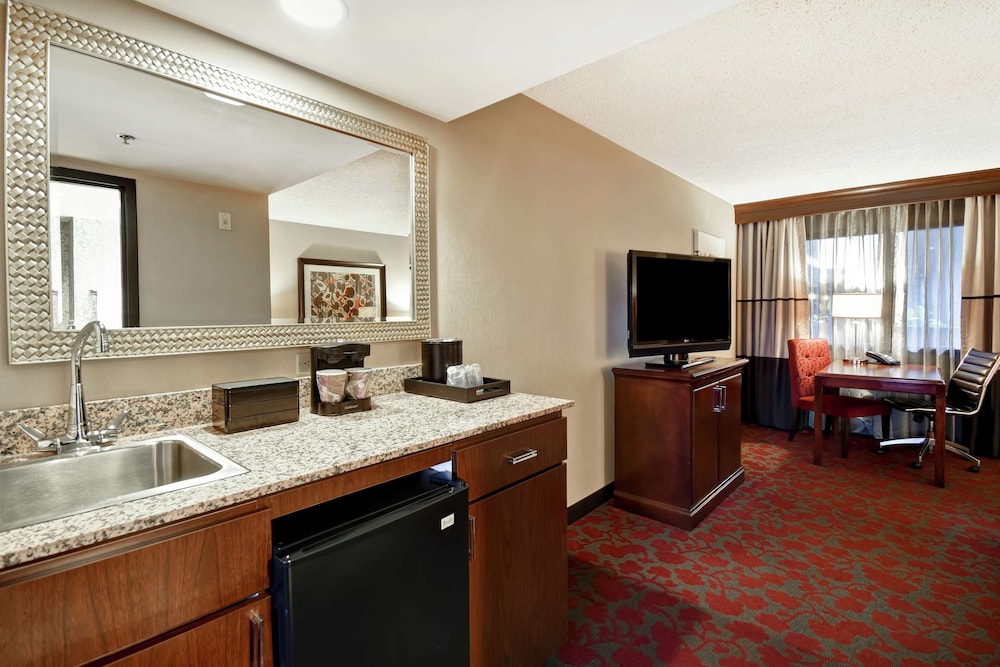 Embassy Suites by Hilton Dulles Airport - photo 26