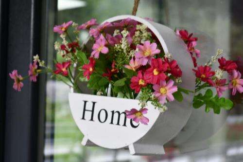 New Green in Slanic-Moldova, Romania