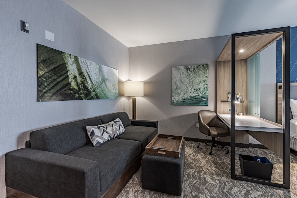 SpringHill Suites by Marriott Detroit Sterling Heights - photo 17