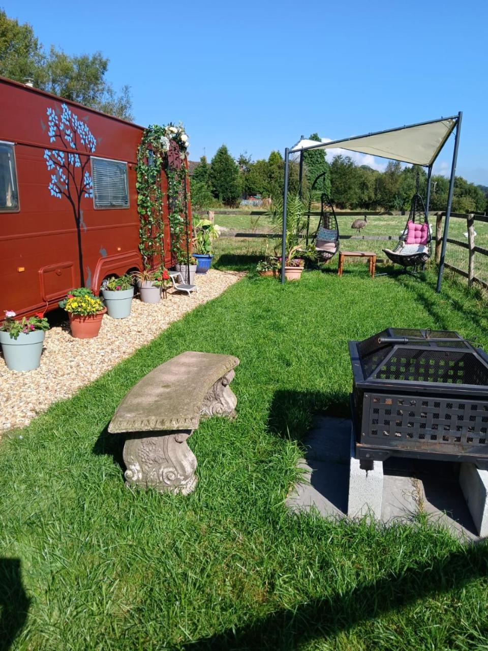 Squirrel Tails in Stoke-On-Trent, United Kingdom