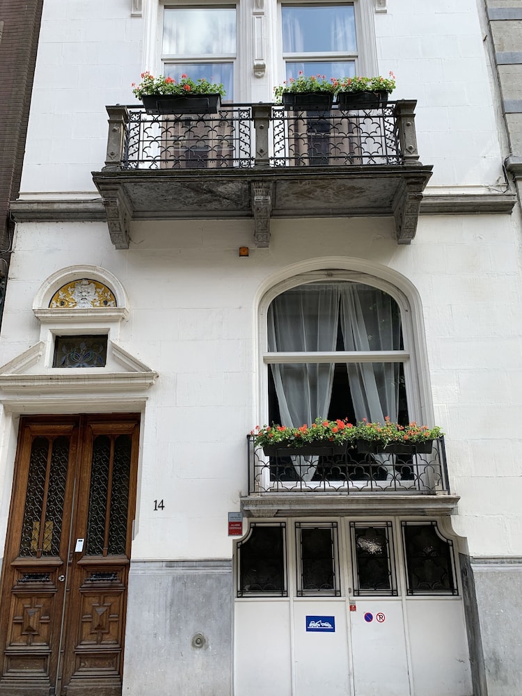 Chic Cocoon — Brussels — photo 3