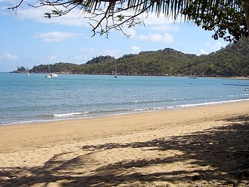 Canopy Chalets — Magnetic Island — photo 5