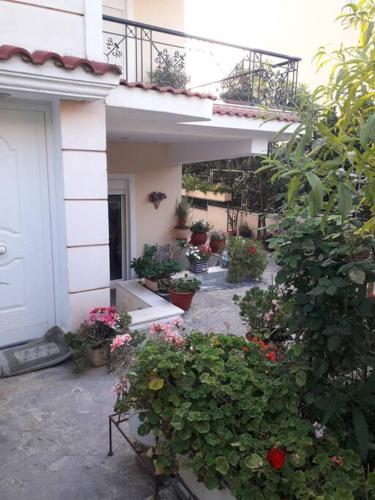 George Geust House — Oropos — photo 5