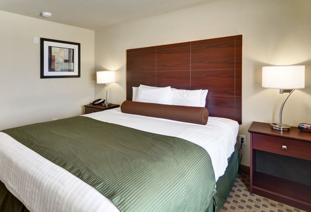 Cobblestone Inn & Suites Big Lake - photo 7