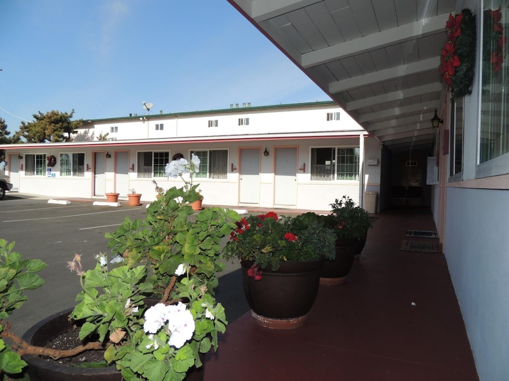 Sundown Inn - photo 49