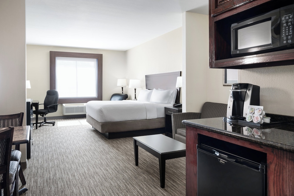 Holiday Inn Express &Suites Snyder by IHG - photo 16