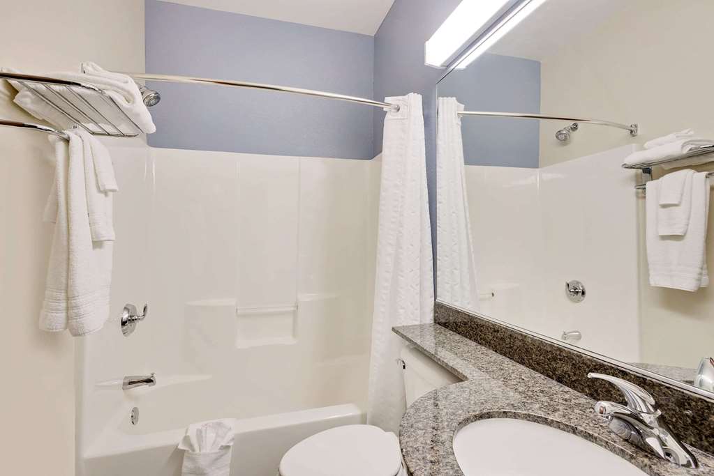 Microtel Inn & Suites by Wyndham Geneva - photo 13