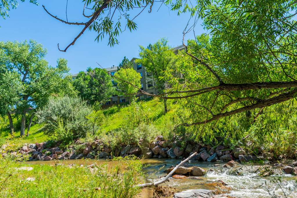 Comfort Inn North Air Force Academy Area - photo 4