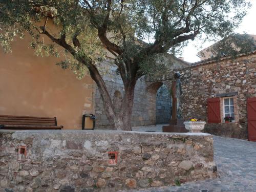 Maury Inh 27849 in Grimaud, France