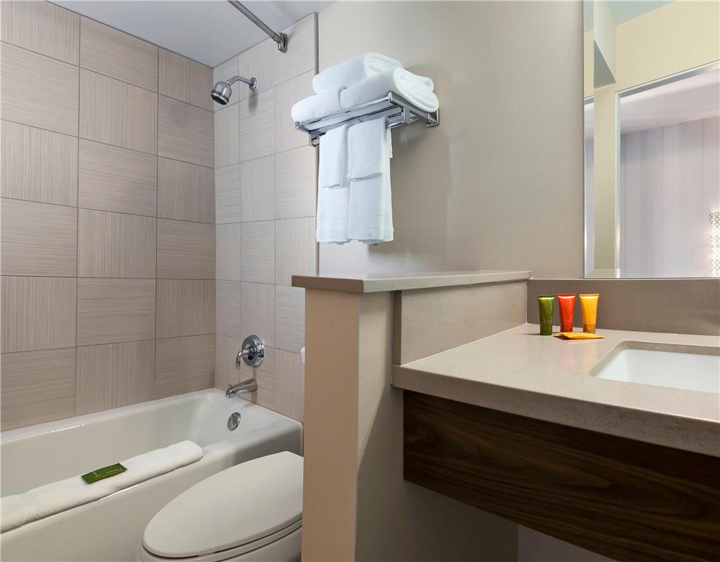 Deluxe Bathroom