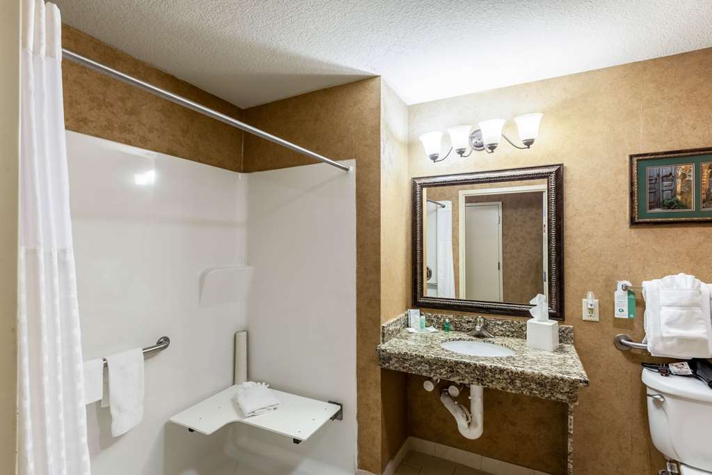 Comfort Suites Alamo Riverwalk - photo 7