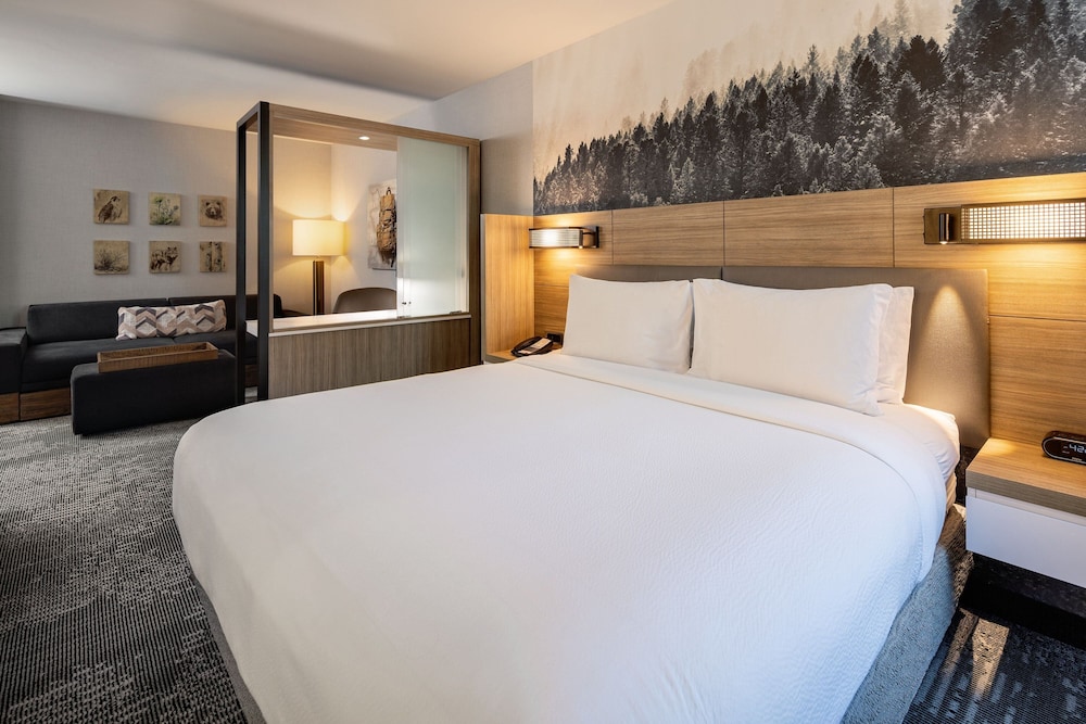 SpringHill Suites Jackson Hole - photo 16