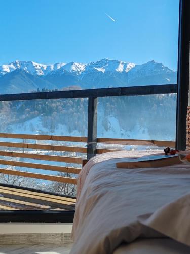 Touch the Sky in Moieciu De Jos, Romania