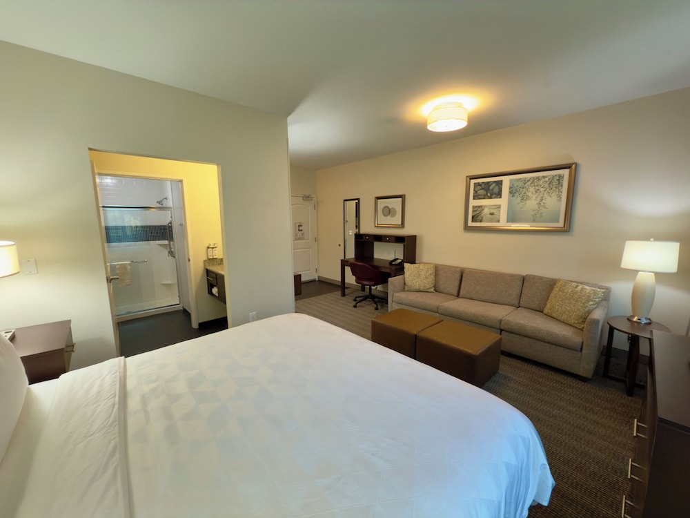 Staybridge Suites Carlsbad by IHG - photo 16