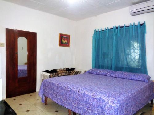 Yard Style in Kingston, Jamaica