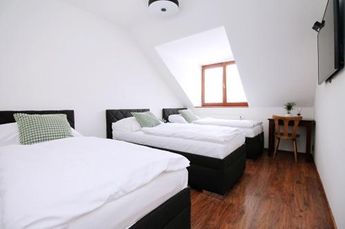 Penzion u Zajíčku — hotel in Mokra Hora