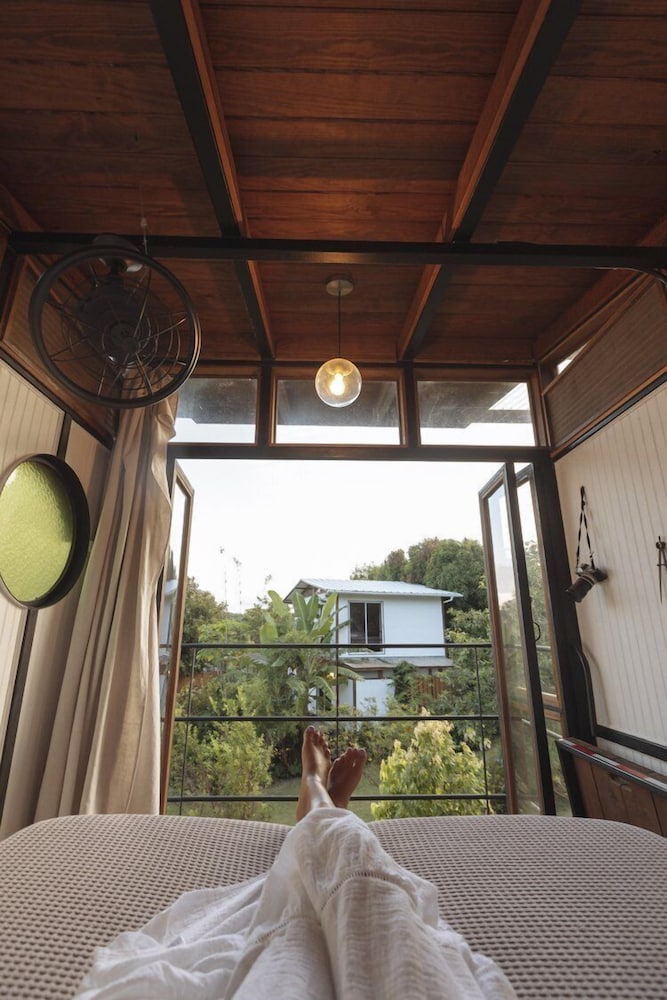 Finca Victoria - photo 52