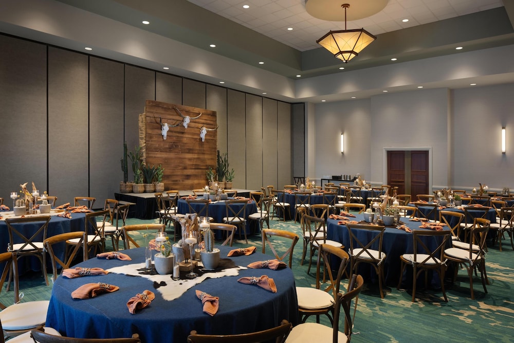 Embassy Suites by Hilton San Marcos Hotel Conference Center - photo 51