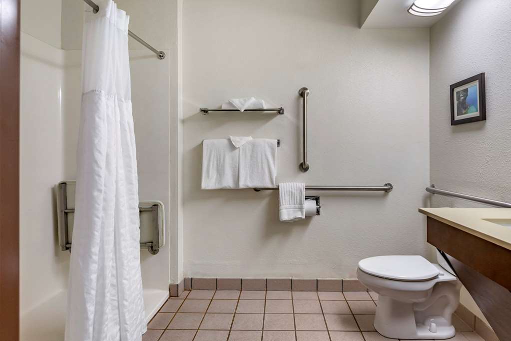 Comfort Inn Okemos East Lansing - photo 13