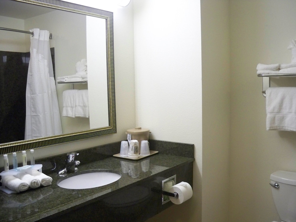 Holiday Inn Express & Suites Omaha I 80 by IHG - photo 10
