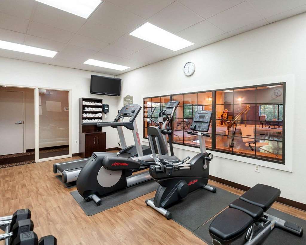 Comfort Suites Dulles Airport - photo 15