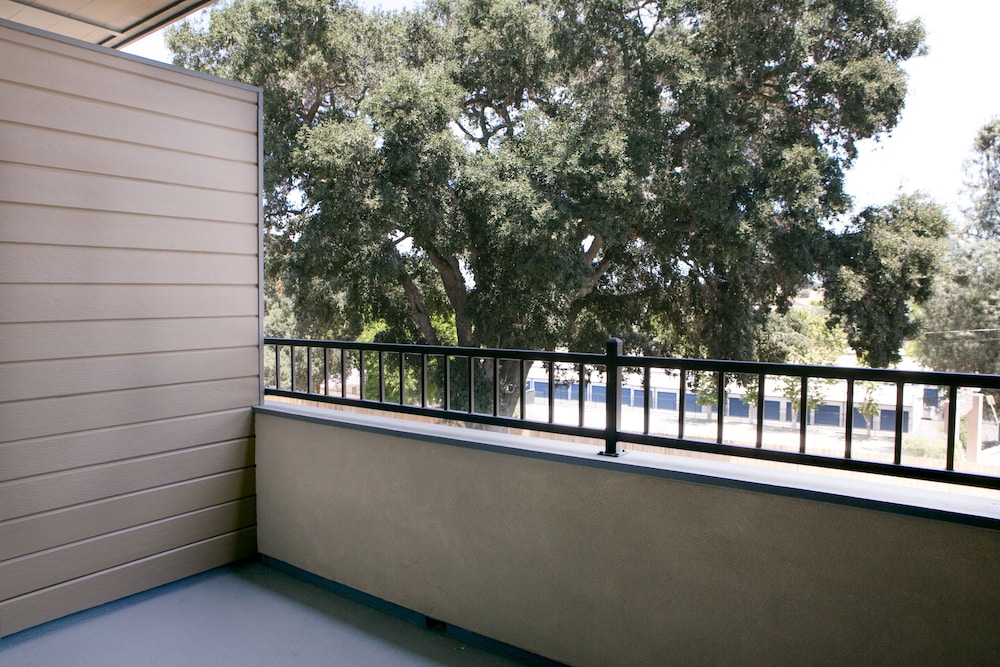 Hotel Siri Downtown Paso Robles - photo 26