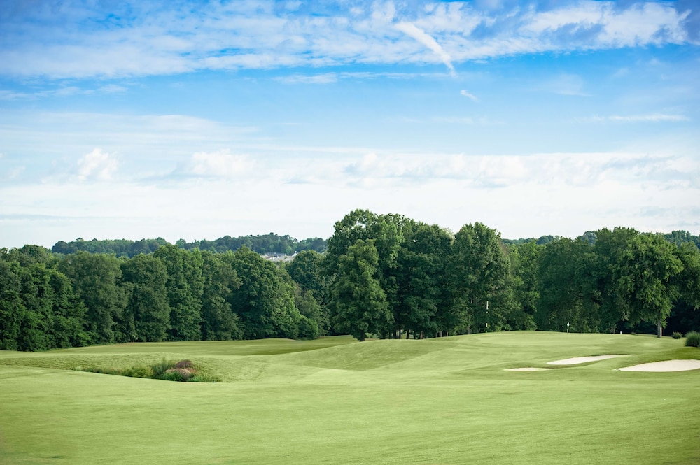 Embassy Suites by Hilton Charlotte Concord Golf Resort & Spa - photo 70