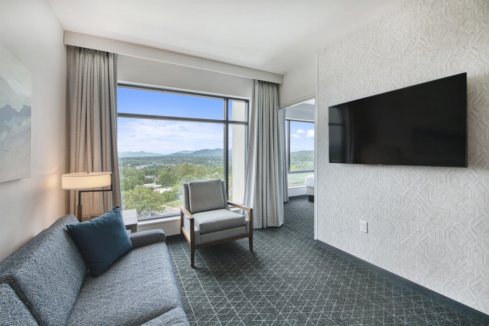 Embassy Suites By Hilton Asheville Downtown - photo 28