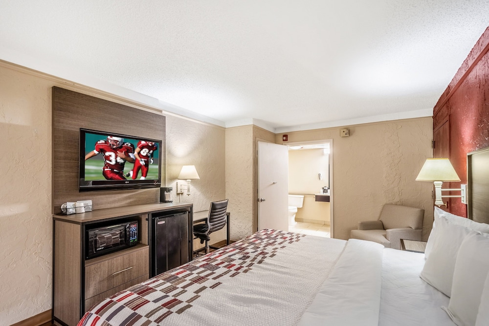 Red Roof Inn Tampa Bay St Petersburg - photo 16