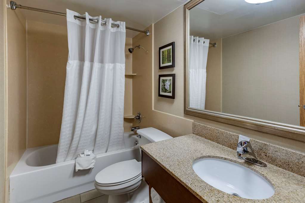 Comfort Inn Lansing West - photo 30