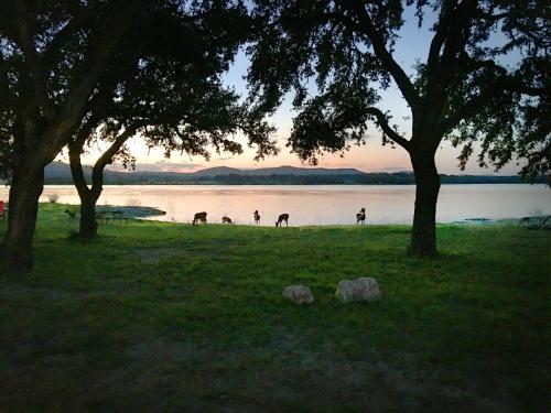 Medina Lake Camping Resort Cabin 7 - photo 18